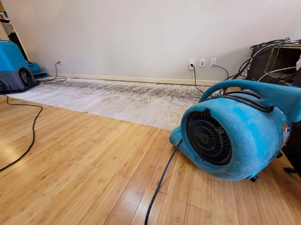 Professional Water Damage Repair technician working in Burbank, WA